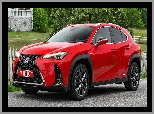 F Sport, Lexus UX 250h